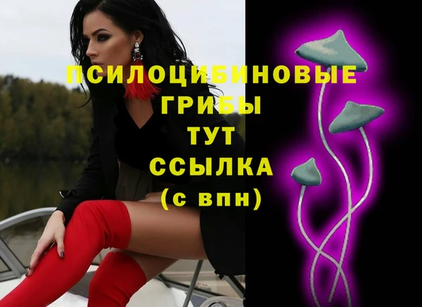 молекула духа Алексеевка
