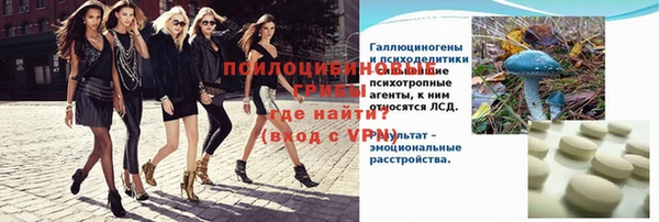 спайс Алзамай